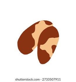 Colección de diferentes frutos secos. Cacahuete, nuez, avellana, pistacho, almendra y anacardos. Concepto de comida saludable. Productos para la merienda. Vector ilustración plana.