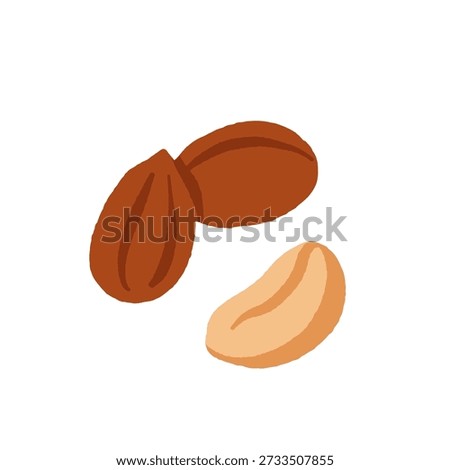 Collection of different nuts. Peanut, walnut, hazelnut, pistachio, almond and cashew. Concept of healthy food. Products for snack. Vector flat illustration.