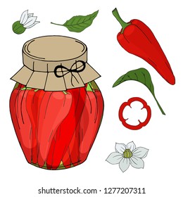 Collection of different objects. glass jar with home made chilli. Hand drawn objects isolated. Vector illustration.