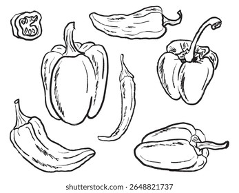 Collection of different pepper kinds, whole, half sliced in black brush stroke texture isolated on white. Hand drawn vector sketch illustration in vintage charcoal ink. Bell pepper, chili pepper