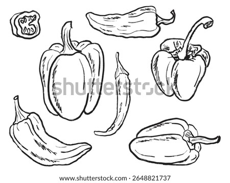 Collection of different pepper kinds, whole, half sliced in black brush stroke texture isolated on white. Hand drawn vector sketch illustration in vintage charcoal ink. Bell pepper, chili pepper