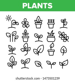 Collection Different Plants Sign Icons Set Vector Thin Line. House Plants, Gardening And Leaves Assortment Linear Pictograms. Nature Decoration And Tree Bunch Monochrome Contour Illustrations