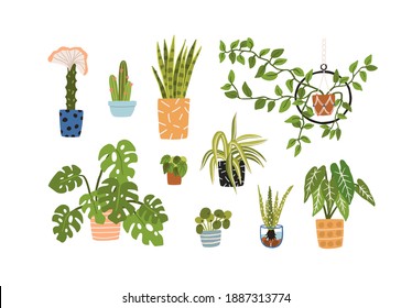 Collection of different potted plants in ceramic and glass pots vector flat illustration. Set of various houseplants with leaves and flowers for home decor isolated. Homegrown colorful greenery