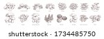 Collection of different realistic edible mushrooms in monochrome style. Set of various engraved seasonal fungi vector graphic illustration. Types of vegetarian organic food