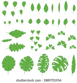 Collection of different shapes green tropical, forest, park tree leaves. Set green foliage. Pattern with green leaves of plants. Vector stock illustration on a white background.