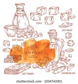 Collection of different soy products: soybean oil,  tofu, soy sauce, soy meat and  tempe. Vector hand drawn illustration.