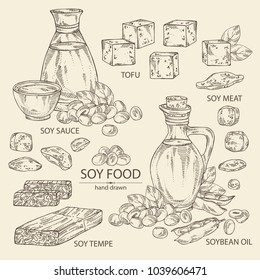 Collection of different soy products: soybean oil, tofu, soy sauce, soy meat and tempe. Vector hand drawn illustration.