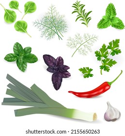 collection of different spices and herbs, high quality vector