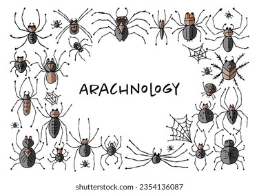 Collection of different spiders. Horizontal frame. Hand drawn style.