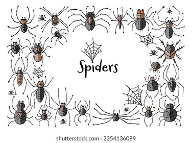 Collection of different spiders. Horizontal frame. Hand drawn style.