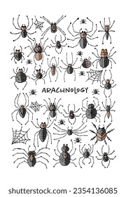 Collection of different spiders. Vertical frame. Hand drawn style.