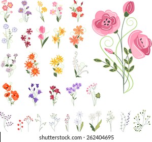 Colección de diferentes flores estilizadas