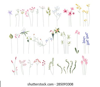 Collection of different stylized flowers and forest herbs