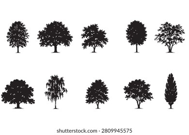 Collection of different tree silhouettes isolated on white background with various deciduous and evergreen species