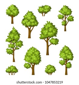 Collection of different trees and bushes