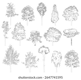 Collection of different trees outline perfect for architecture and landscape design drawing