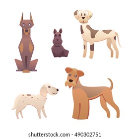 Collection different type of cute dogs small and big.