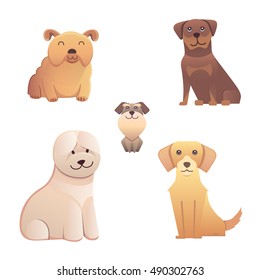 Collection different type of cute dogs small and big.