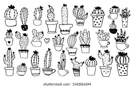 A collection of different types of cacti in pots. Line sketch. Hand drawing of home plants. Doodle vector isolated on a white background.