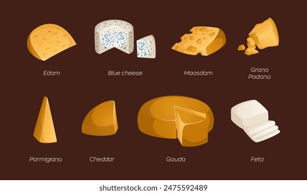 Collection of different types of cheeses on a brown background. Vector illustration with text. Ideal for posters and banner, menu of cafe and shops. Colorful and bright set in realistic style. Gouda