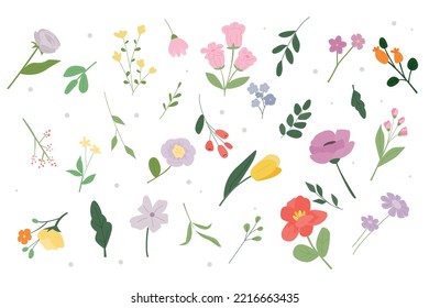 Colección de diferentes tipos de fuentes de diseño de flores y plantas. ilustración vectorial plana.