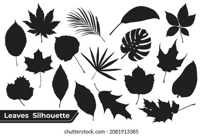 Collection of Different types of Leaves silhouettes
