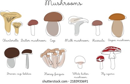 Collection different types of mushrooms in single continuous line drawing style. Sketch hand drawn illustration. Mushroom vector set in outline with colored elements. Minimalism art.