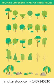 Collection Different types of tree species beautiful in vector graphic forest nature