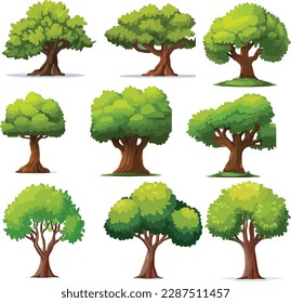 Collection of different variant tree vector illustrations. isolated on white background