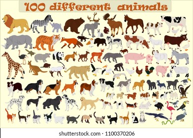 Collection of different vector animals on a light background