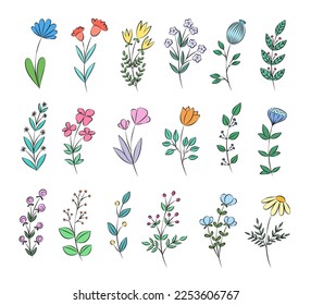 Collection of different vector colorful doodle style hand drawn flowers. Set of floral elements for designs, templates, wedding cards, invitations, greeting cards, posters, postcards.