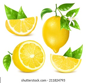 Collection of different vector illustration of fresh lemons with leaves and blossom. Vector illustration contains gradient mesh.