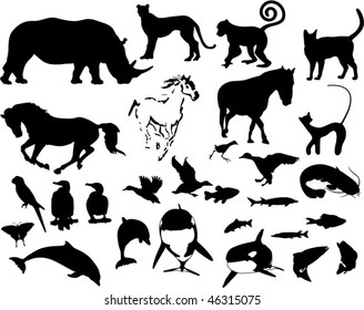 collection of different vector silhouettes of animals
