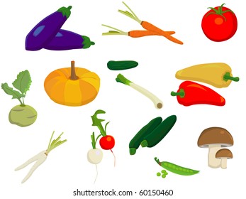 Collection of different vegetables on a white background