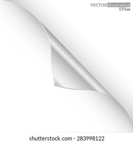 Collection of different white curled corners on the white background shadowed. Vector illustration.