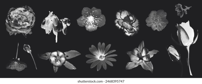 A collection of different white flowers in a retro halftone style on a black background. Perfect for vintage design projects and floral themed artwork