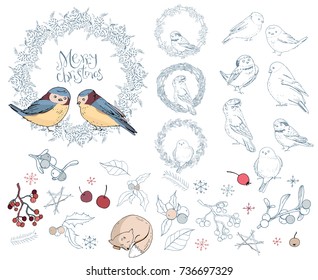 Collection of different winter birds. Christmas forest symbols and elements isolated on white. Vintage style,contour,hand drawn.