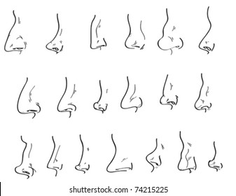 A collection of differently shaped noses.