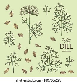 Collection of dill: dill leaves and seeds. Herbs and spices. Vector hand drawn illustration.