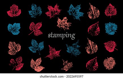 Collection of direction pencil sketch symbols isolated on dark background, graphic design Created drawings for nails. arrow vertical line set isolated on dark.