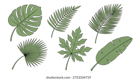 Coleção de ilustrações de folhas tropicais distintas inclui espécies como monstera, samambaia e palmeira em tons verdes naturais macios.