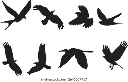 A collection of diverse bird silhouettes captured in mid-flight showcasing different species.