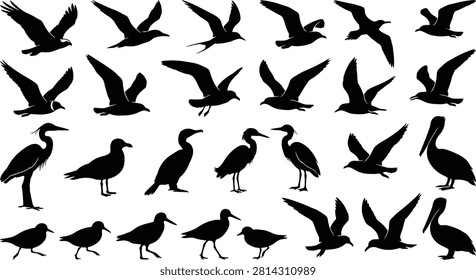Collection of diverse bird silhouettes in flight and standing poses for wildlife, nature, and design projects