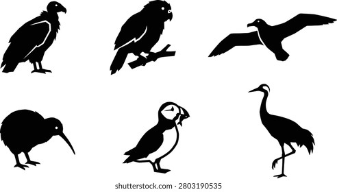 A collection of diverse bird silhouettes on a clean white background
