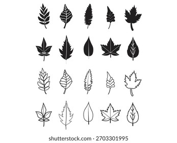 Colección de diversas siluetas de hojas botánicas y líneas de arte