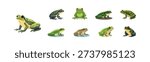 Collection of diverse cartoon frogs in various poses and colors on a white background
