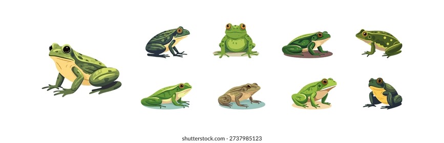Collection of diverse cartoon frogs in various poses and colors on a white background