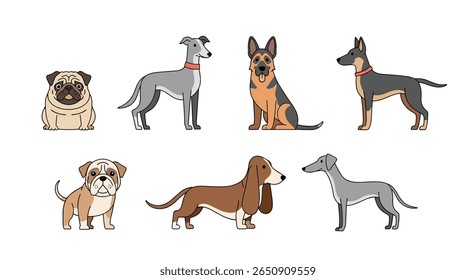 A collection of diverse dog breeds posed for display showing different body types and styles