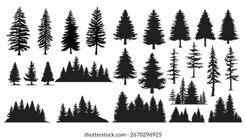 Coleção de diversas silhuetas de árvores perenes para projetos de natureza
