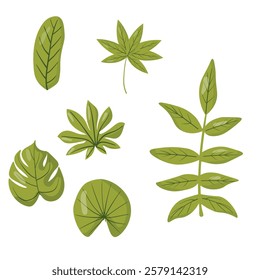 Collection of diverse green leaves in different shapes and textures. Ideal for botanical projects, eco-friendly designs, nature-inspired decorations, and seamless patterns, optimized for top search vi